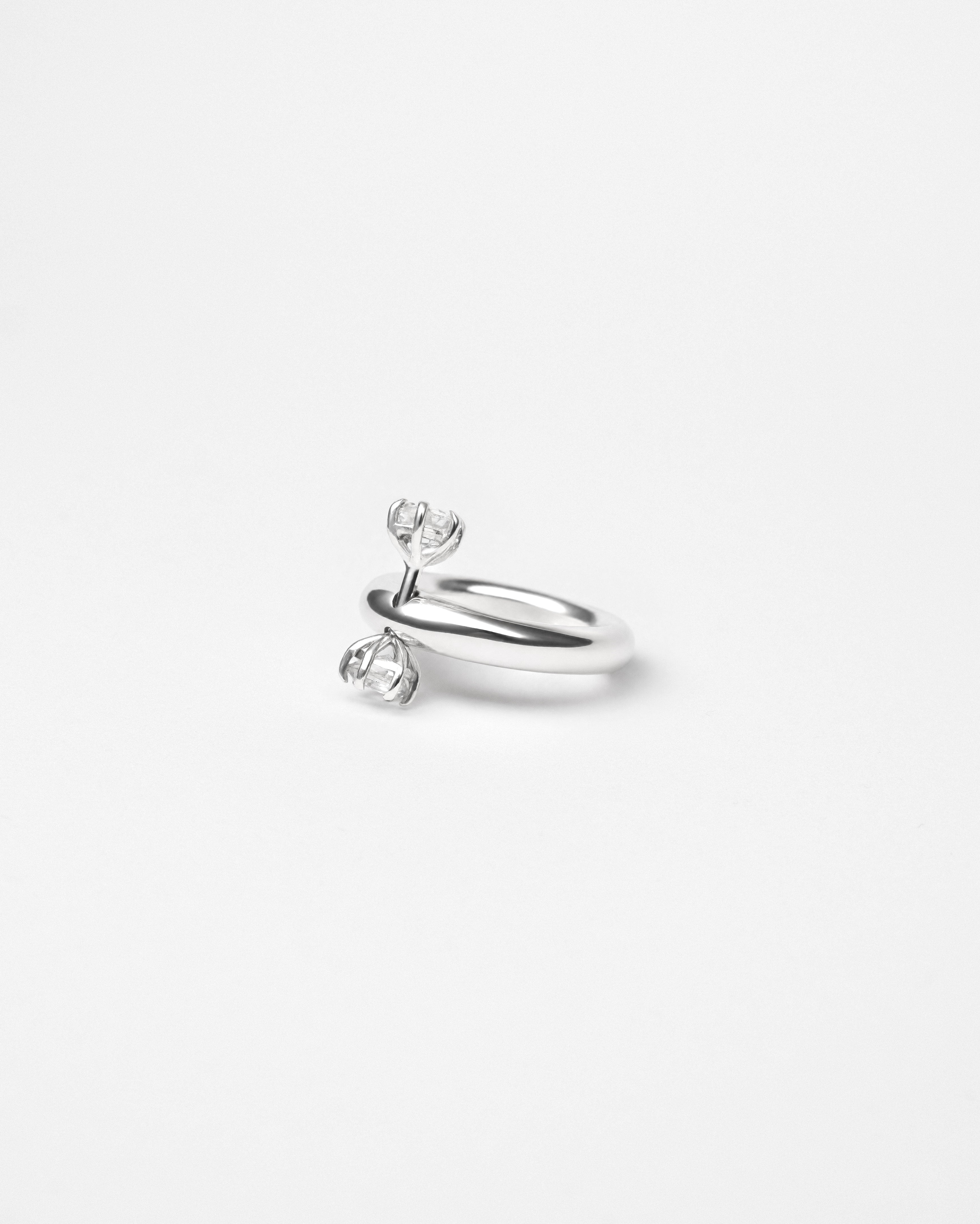 Ring 0245