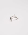 Ring 0445